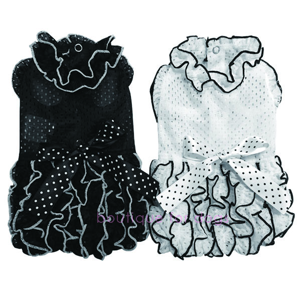 Frilldress_0_1.jpg