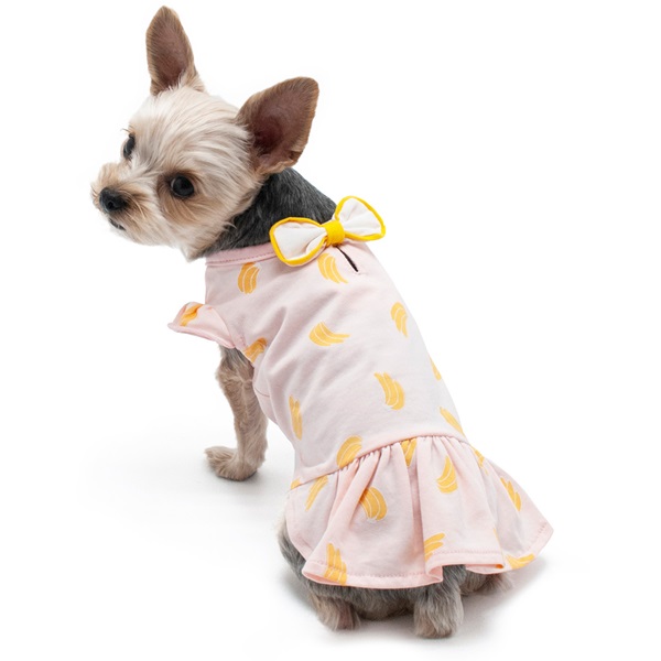 banana-dress-dog-1.jpg