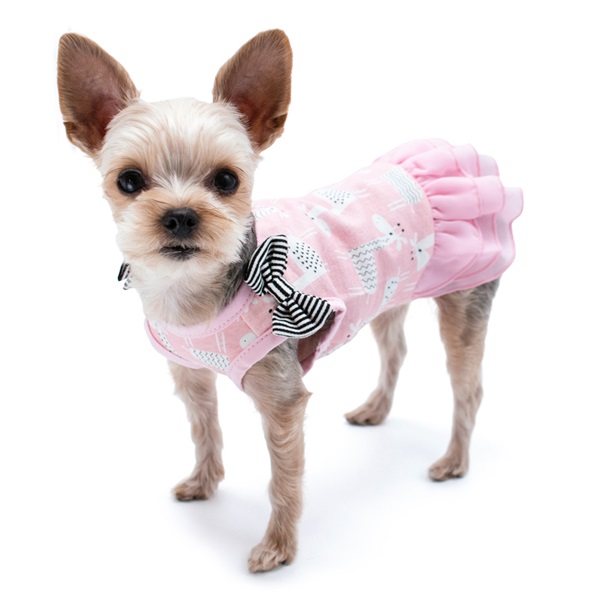 giraffe-dress-dog-1.jpg