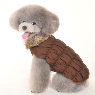 ruched-bubble-jacket-bn-dog-1.jpg