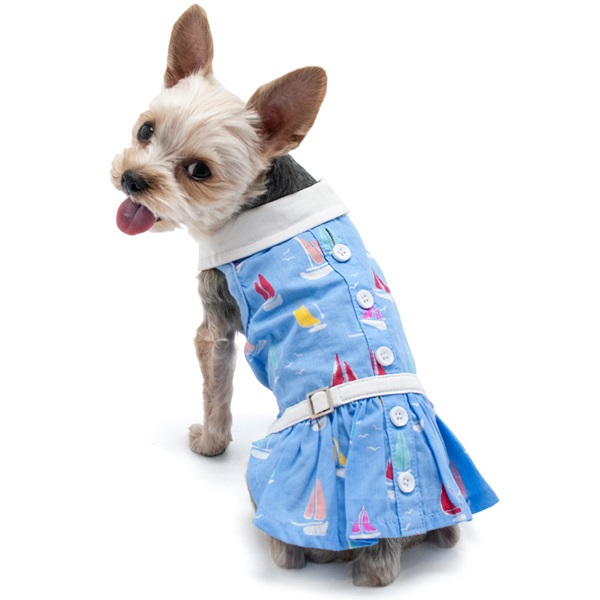 summer-beach-dress-dog-1.jpg