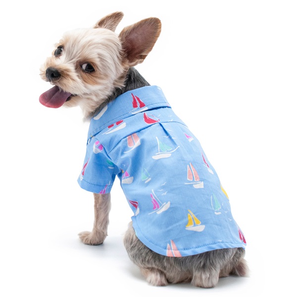 summer-beach-shirt-dog-1.jpg